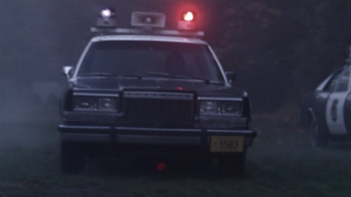 1982 Plymouth Caravelle