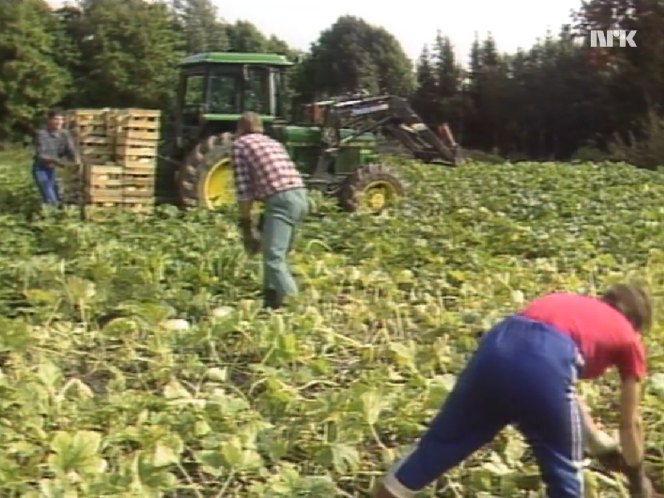 1980 John Deere 3040