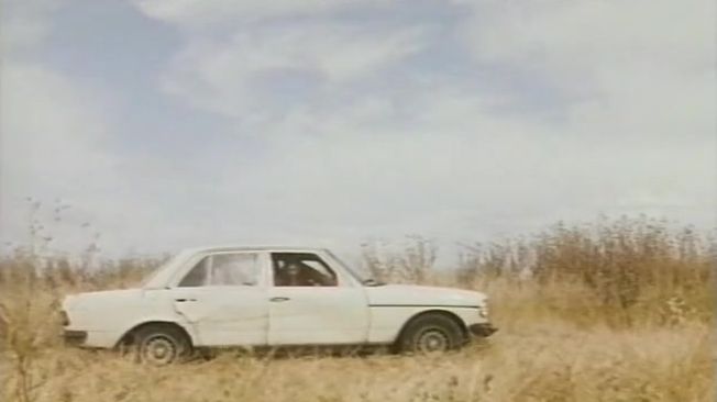 Mercedes-Benz [W123]