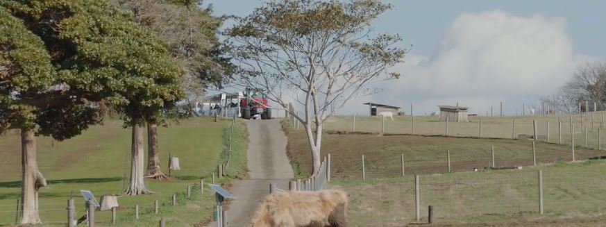 Massey Ferguson unknown