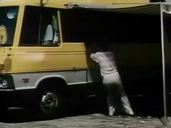 1980 Isuzu Journey Motorhome Conversion