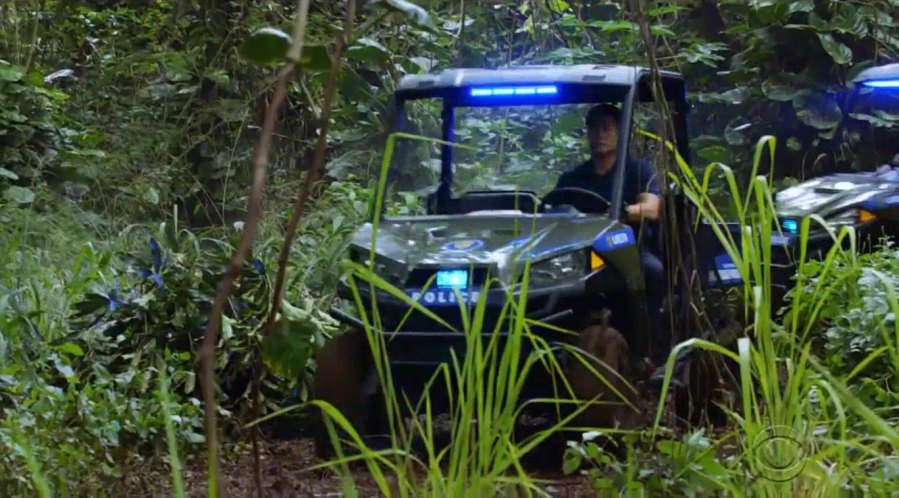 2015 Polaris Ranger XP