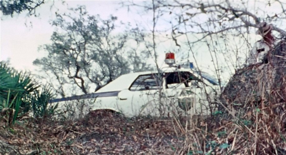 1975 Ford Custom 500