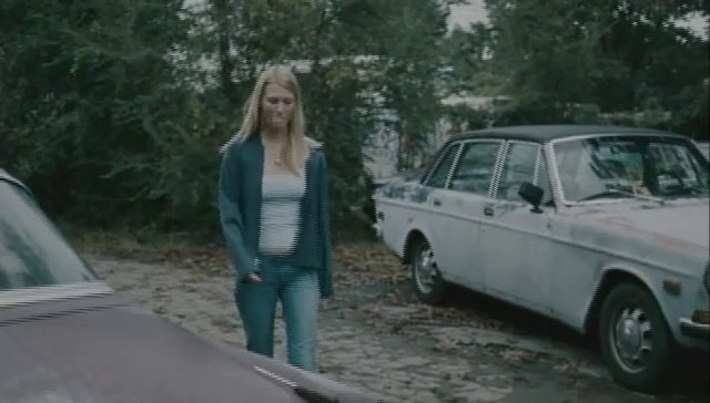 1972 Volvo 164