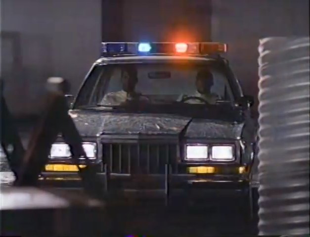 1984 Dodge Diplomat