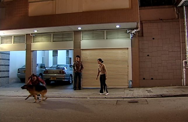 1996 Nissan Skyline GT-R [R33]