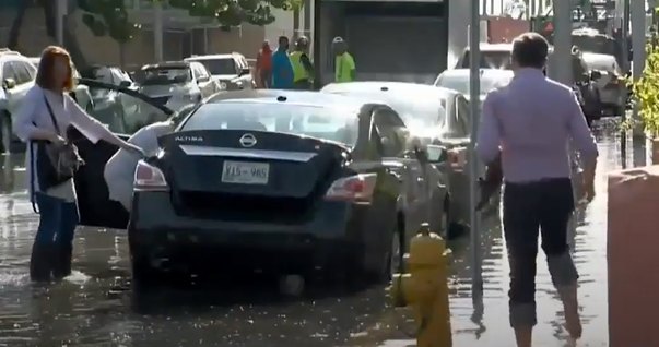 2013 Nissan Altima [L33]