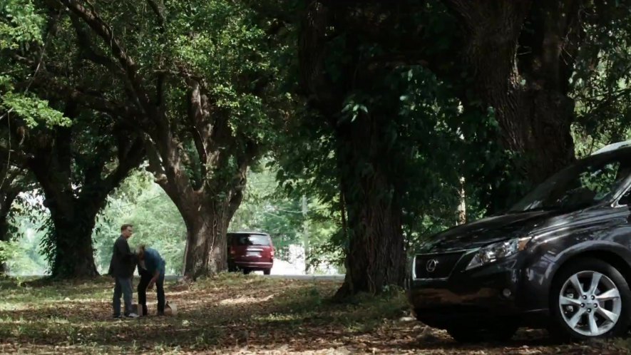 2010 Lexus RX [AL10]