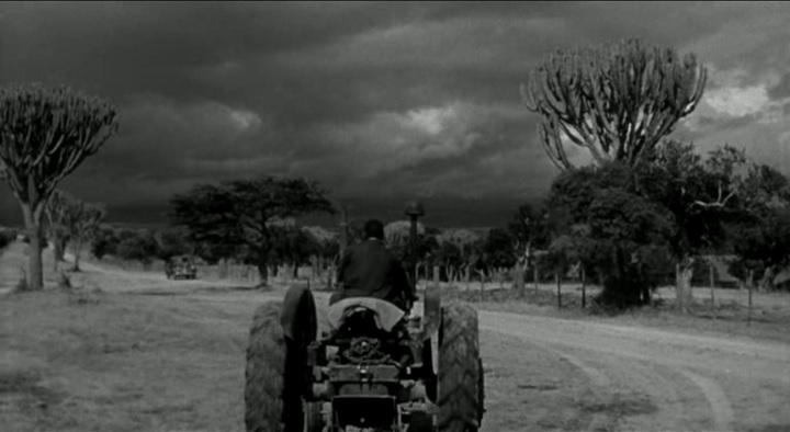 Fordson Major [E27N]