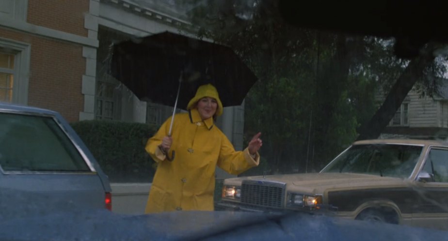 1982 Ford Granada Squire