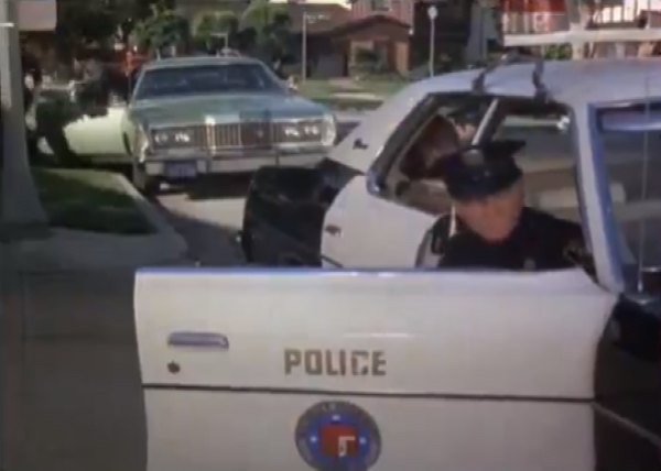 1973 Ford Galaxie 500