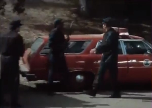 1974 AMC Matador Station Wagon