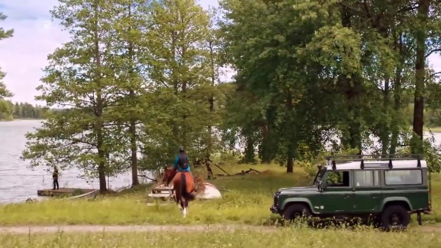 Land-Rover Defender 110 Station Wagon Td5