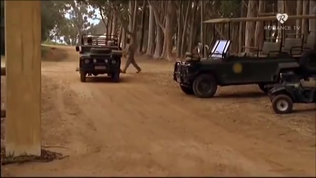 1990 Land-Rover Defender 110 'Safari'