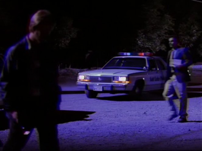 1988 Ford LTD Crown Victoria