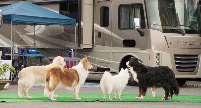 2016 Winnebago Sightseer