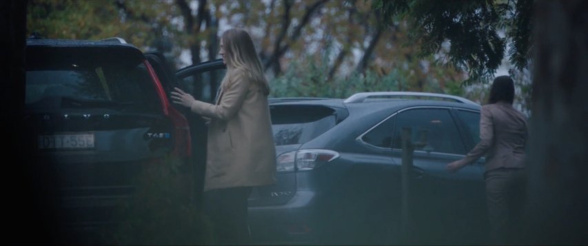 2010 Lexus RX 350 [AL10]