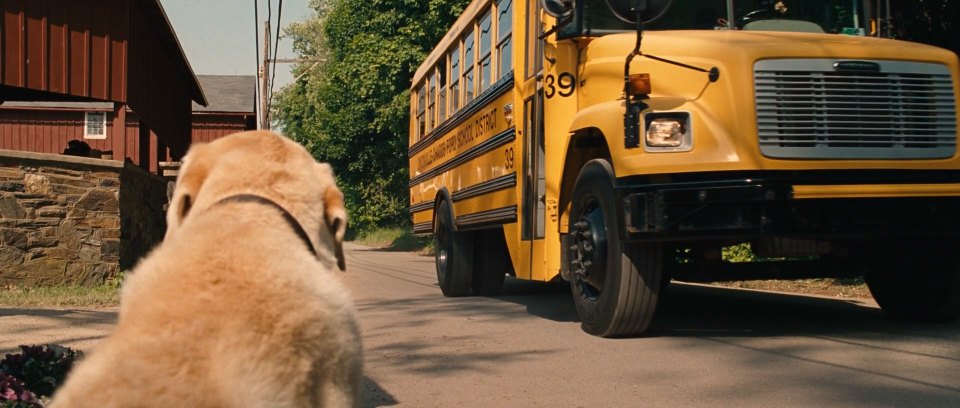 1996 Freightliner FS-65 Thomas Built