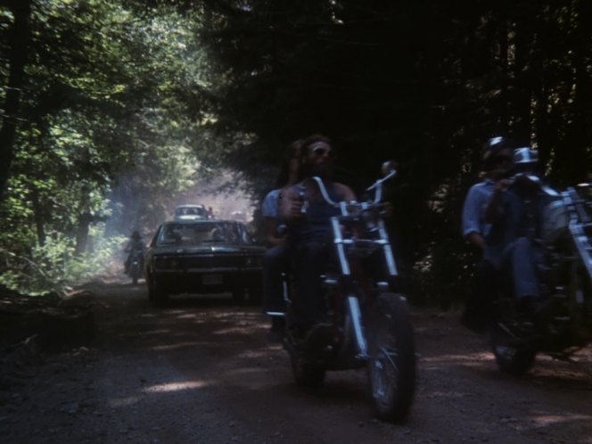 Harley-Davidson Custom Chopper