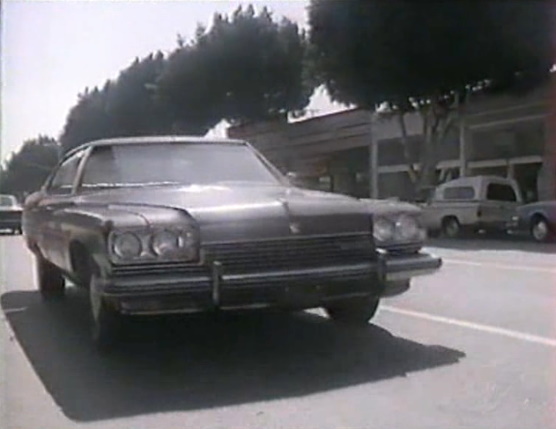 1973 Buick Electra 225