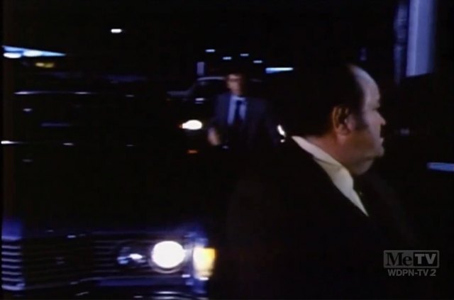 1973 Ford Galaxie 500