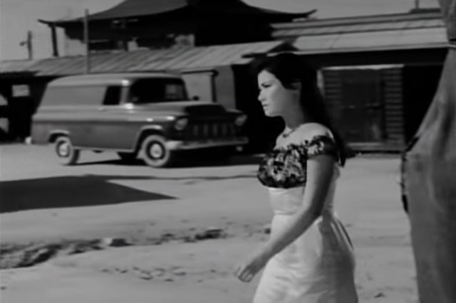 1955 Chevrolet Task-Force Panel