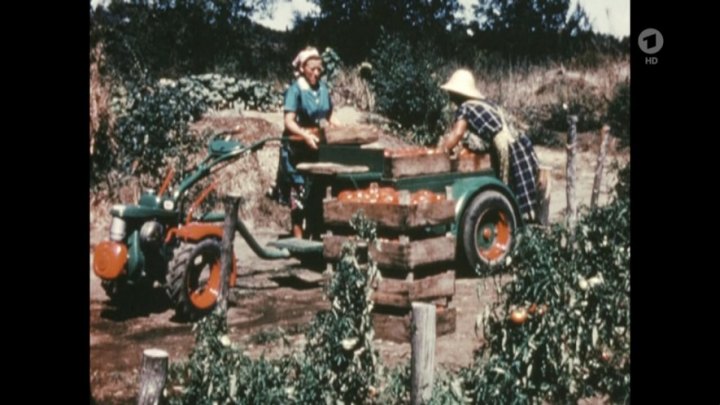 Agria unknown Einachser