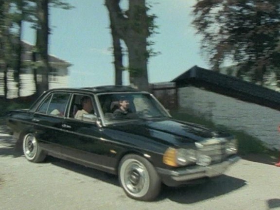 Mercedes-Benz [W123]