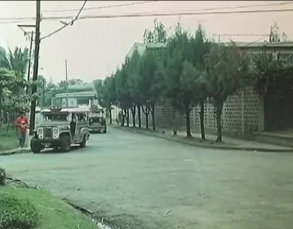 Custom Made 'Jeepney'