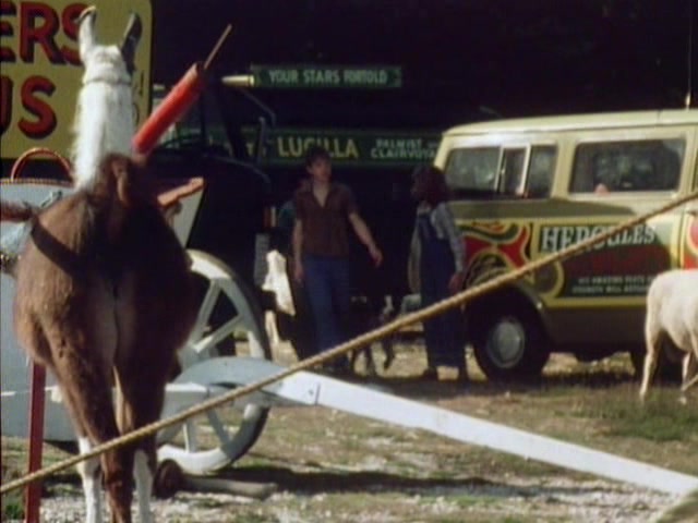 Bedford CF Minibus Mk1