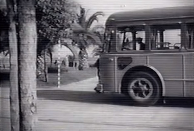 Alfa Romeo 1000 AerFer