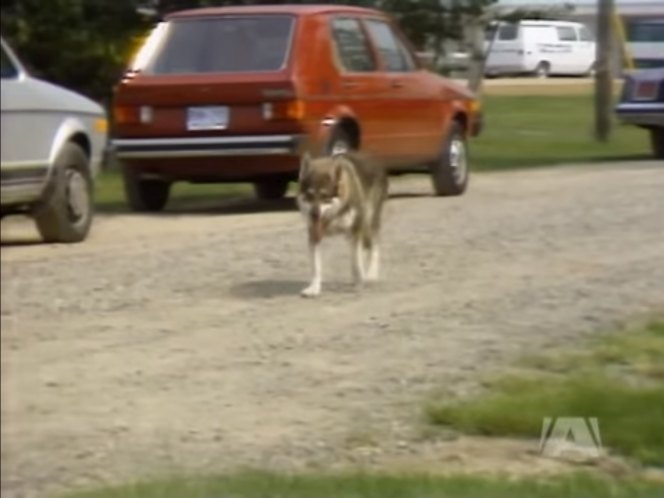 Volkswagen Rabbit I [Typ 17]