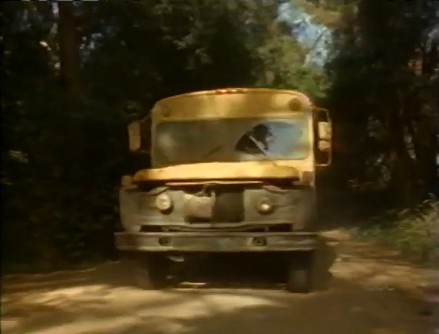 Ford B-Series Wayne Lifeguard