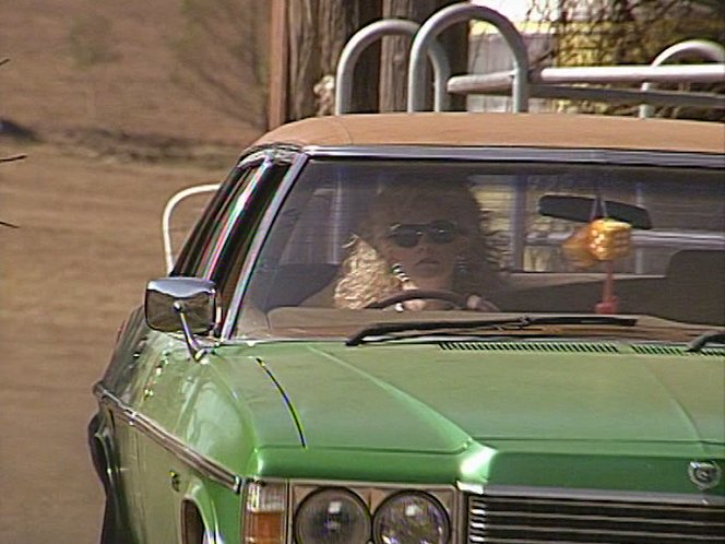 1977 Holden Statesman DeVille [HZ]