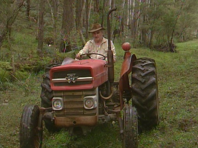 Massey Ferguson 135
