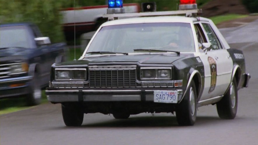 1986 Plymouth Caravelle Salon