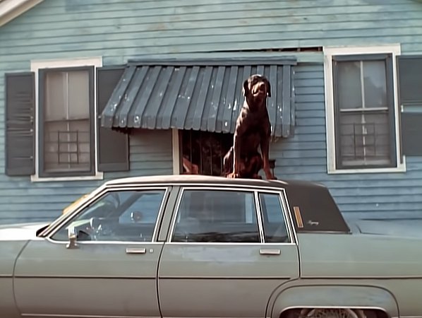 1980 Oldsmobile Ninety-Eight Regency