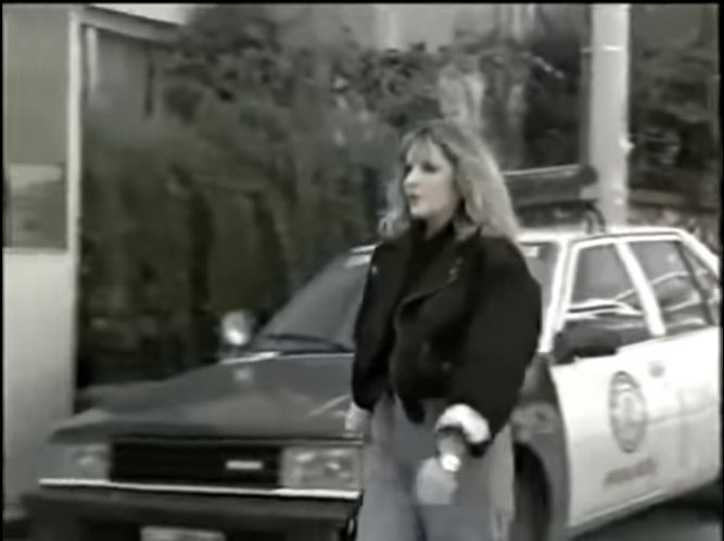 1985 Nissan Sunny Police [B11]