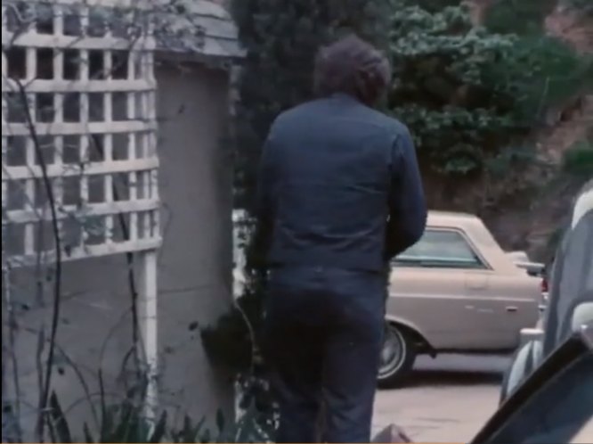 1969 Ford Falcon Wagon