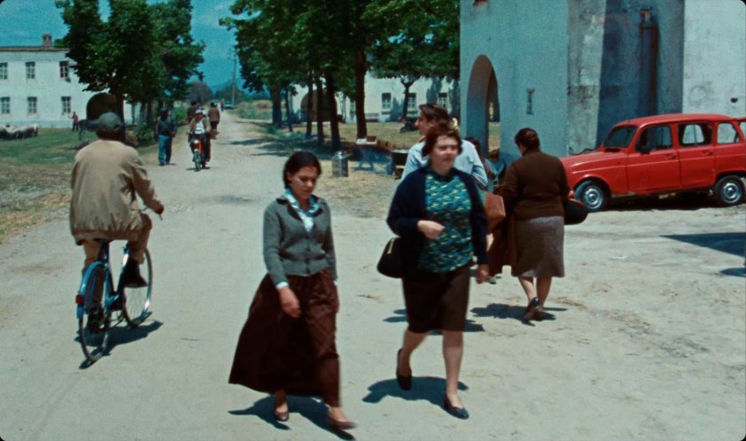 1983 Renault 4 [R1123]