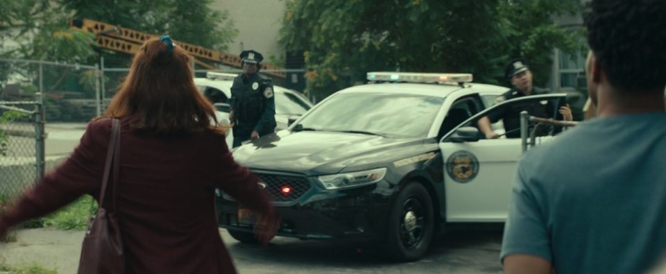 2013 Ford Police Interceptor