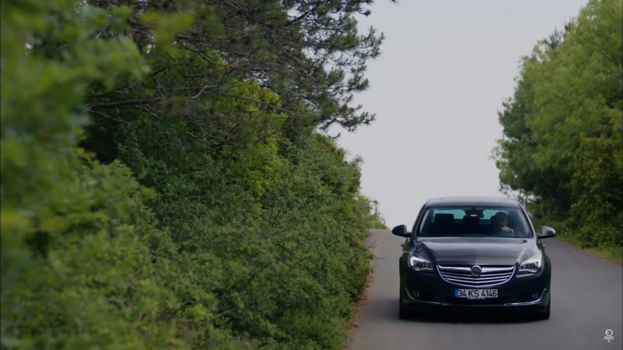 2014 Opel Insignia [A]