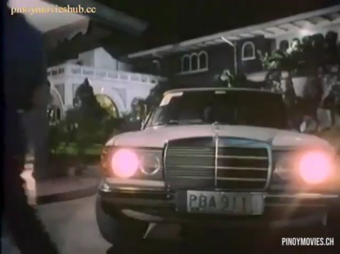 Mercedes-Benz [W123]