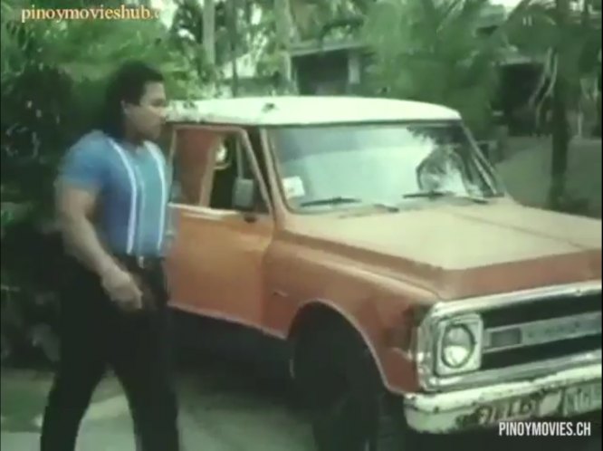 1969 Chevrolet C-Series Panel