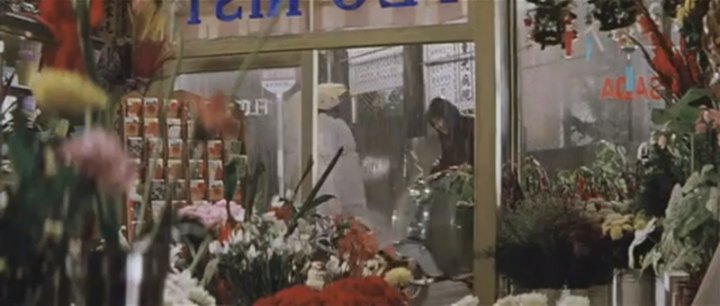 Fuji Rabbit Junior S82