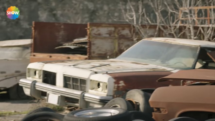 1975 Oldsmobile Ninety-Eight Regency