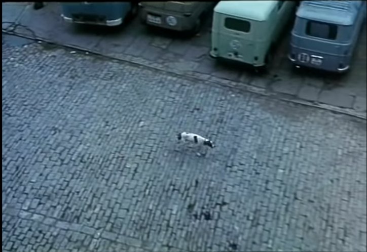 FADISA-Alfa Romeo Romeo 2