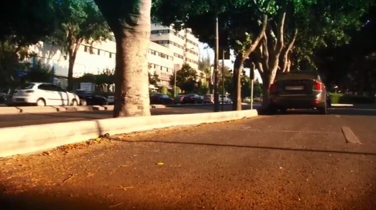 2006 Seat Ibiza 3ª generación [Typ 6L]