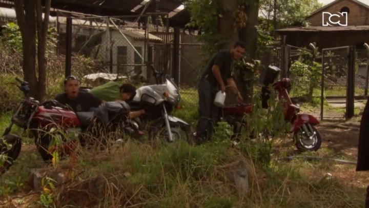 Suzuki XF 650 Freewind