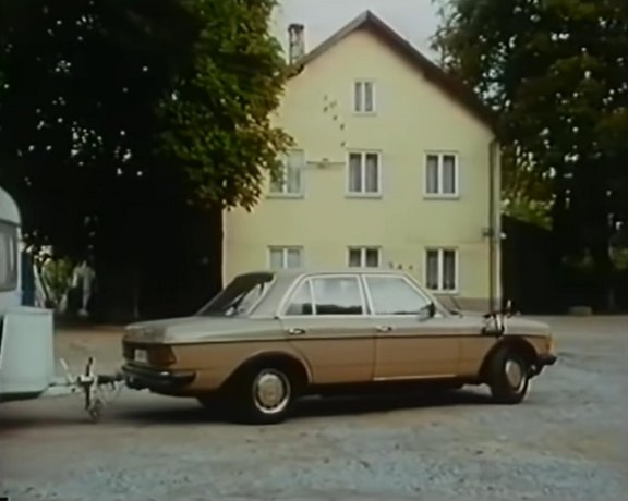 1976 Mercedes-Benz [W123]